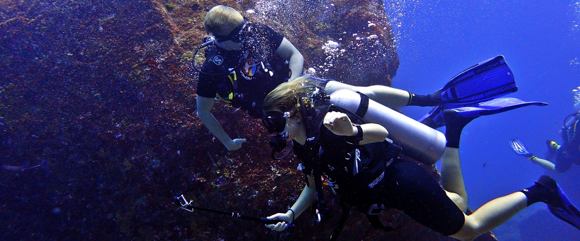 Silky night snorkel - always good fun - Nautilus Liveaboards Blog