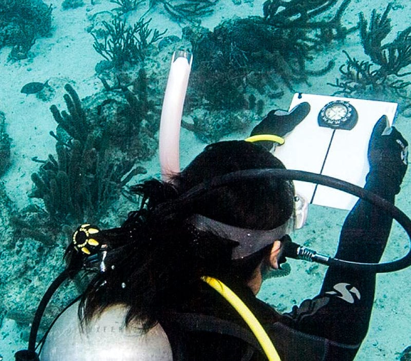 Underwater Navigator01